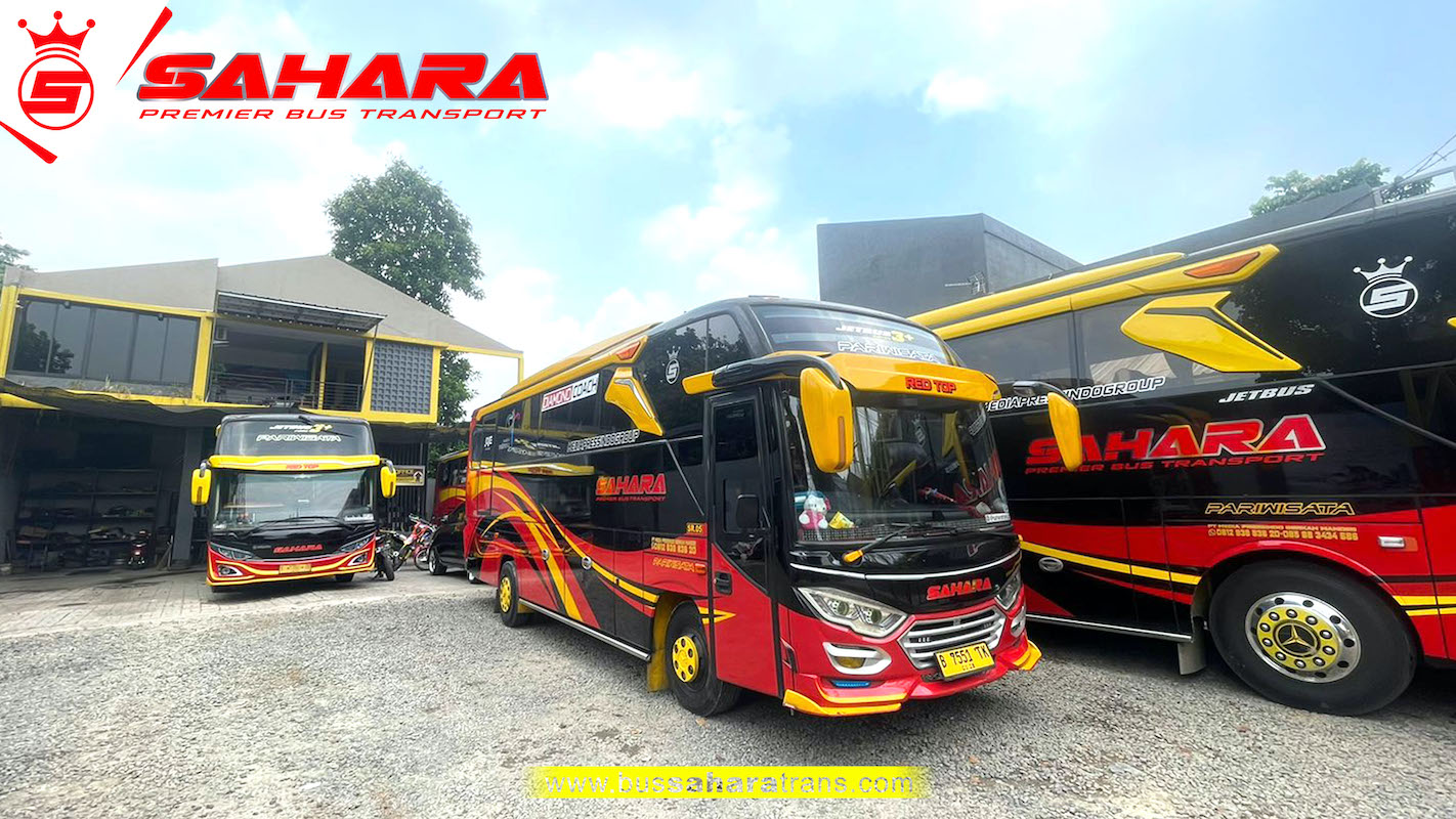 bus sahara